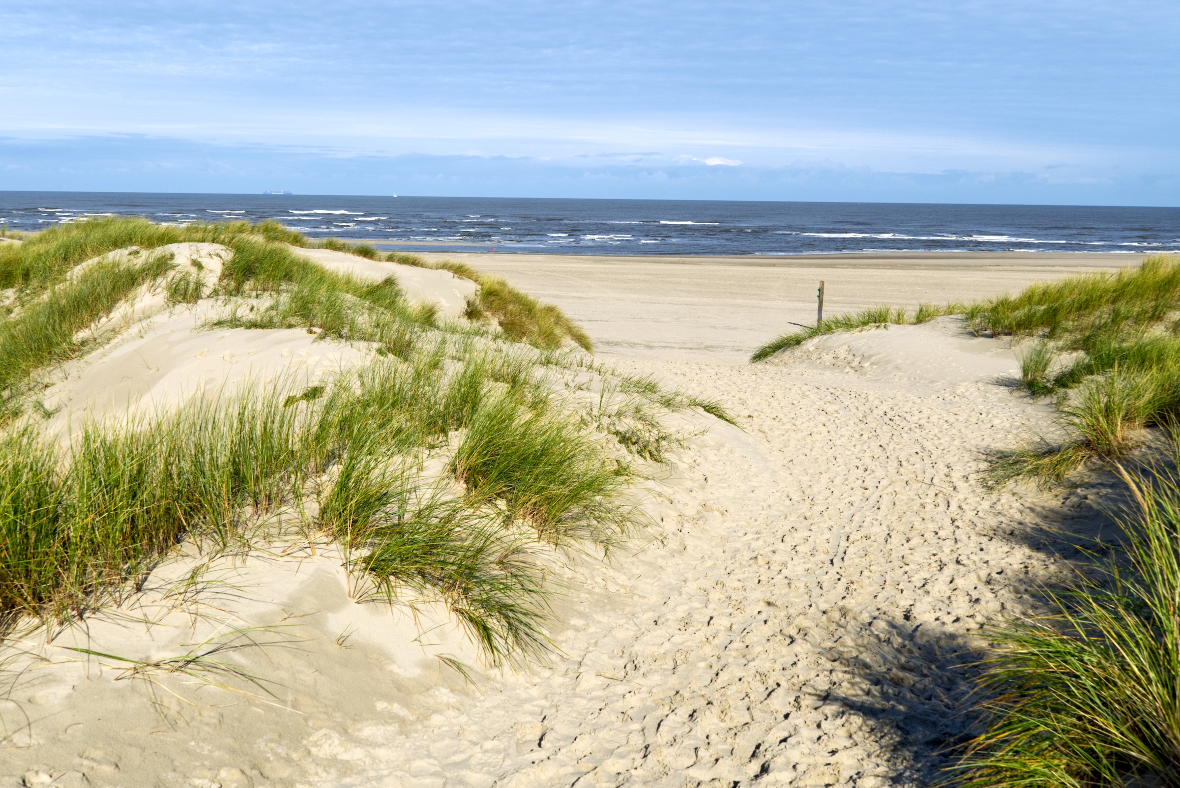 Baltrum